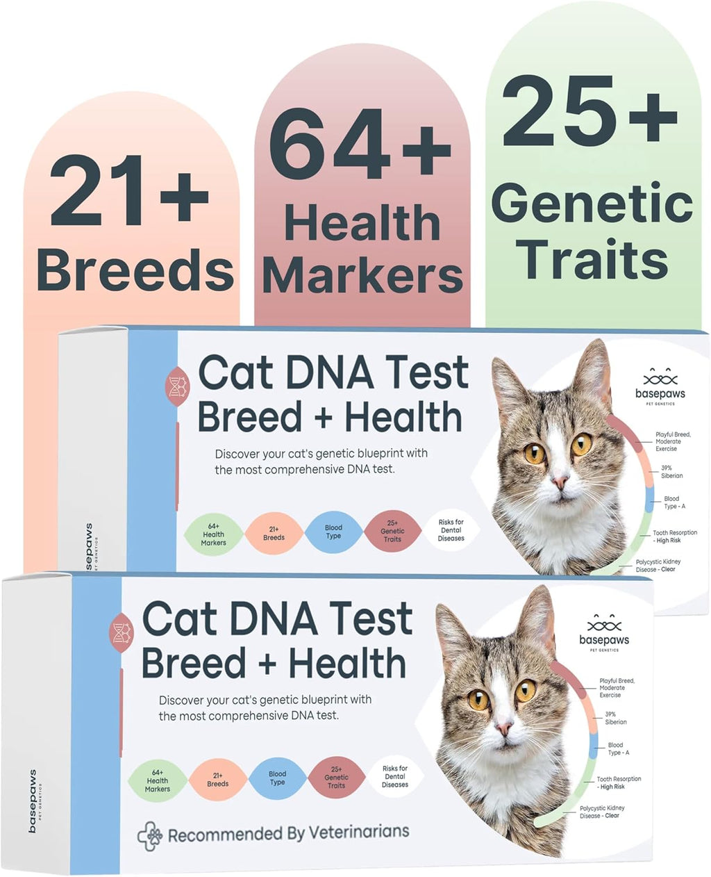 Basepaws Cat DNA Test Kit, Breed, Health & Dental Insights (Pack of 2)