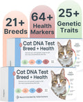 Basepaws Cat DNA Test Kit, Breed, Health & Dental Insights (Pack of 2)