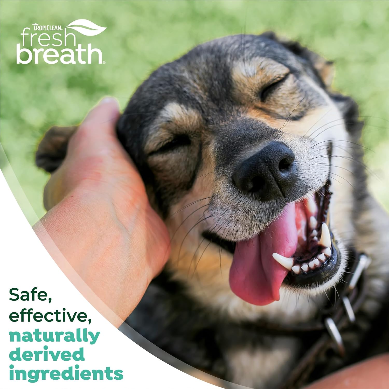 TropiClean Fresh Breath Dog Oral Care Kit | Complete Toothbrush and Toothpaste Set for Plaque & Tartar Control | Tooth Brushing Kit for Large Animals