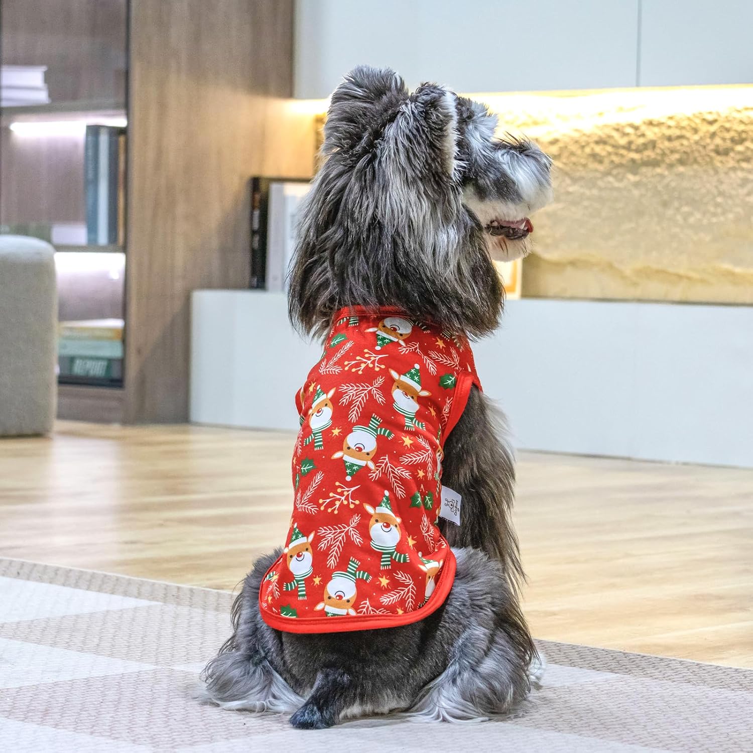CuteBone Dog Shirts 2-Pack Soft Pet Clothes Breathable Summer Vest for Small Puppy and Stretchy Cat Apparel