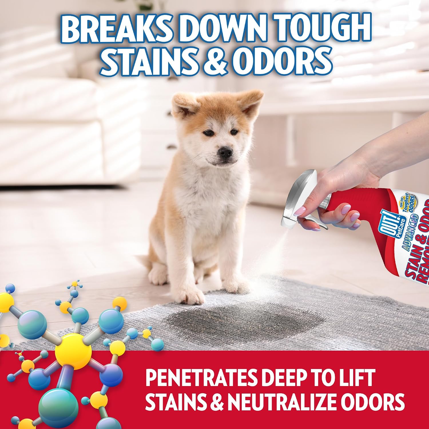OUT! PetCare Pet Stain & Odor Remover, Carpet Cleaner, 32oz (2 Pack)