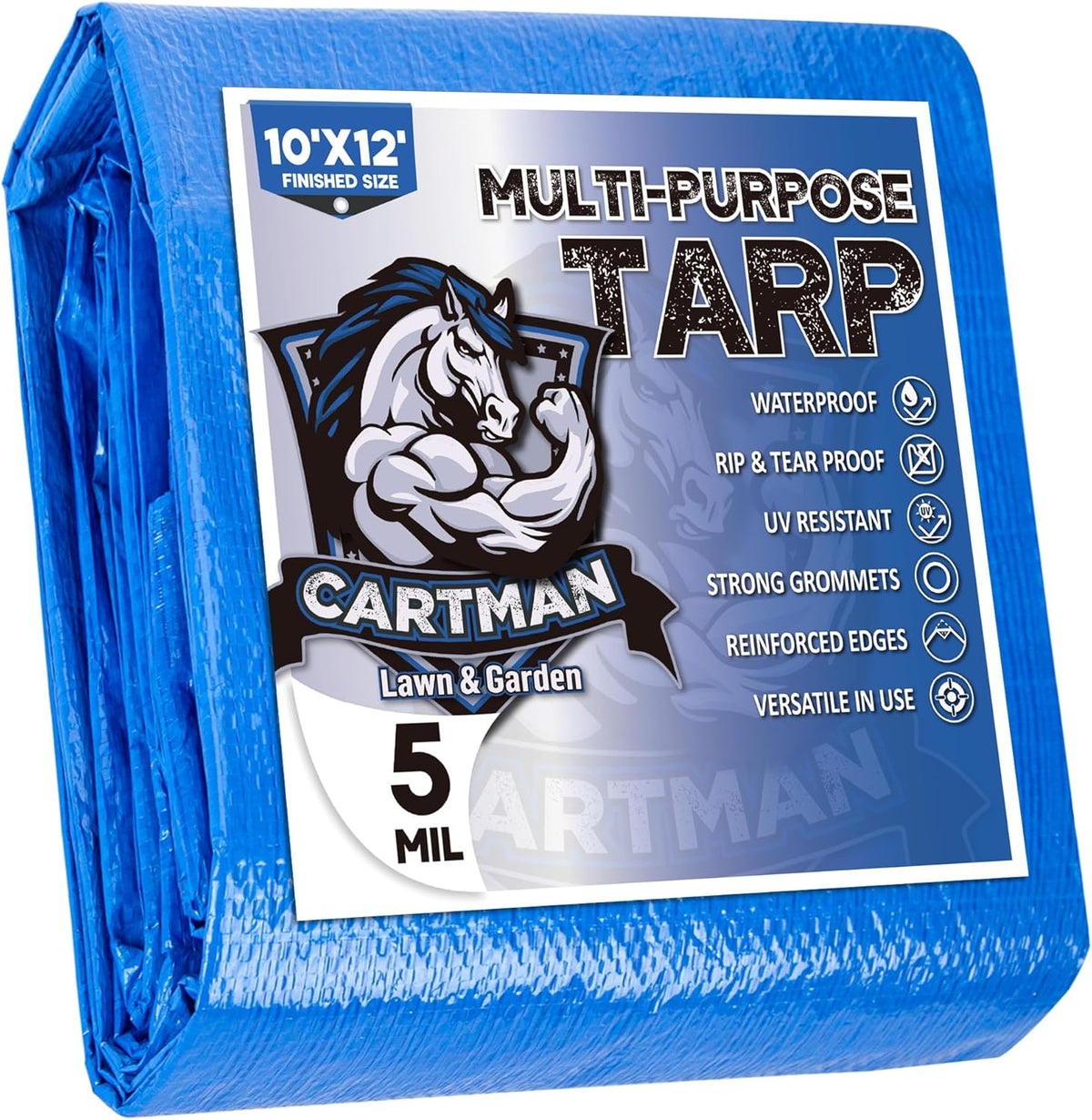 CARTMAN 10x10Ft Multipurpose Waterproof Poly Tarp Cover 5 Mil, Blue