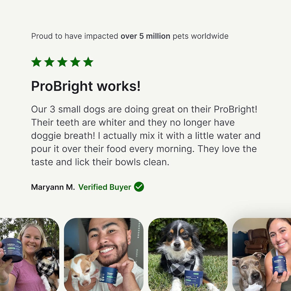 PetLab Co. ProBright Dental Powder for Small Dogs, 30 Scoops