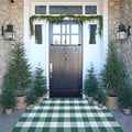 CAINANEL Green and White Buffalo Plaid Outdoor Rug Spring Door Mat Layering Rug Welcome Doormats for Spring Easter Farmhouse Entrance Porch Outdoors Decor