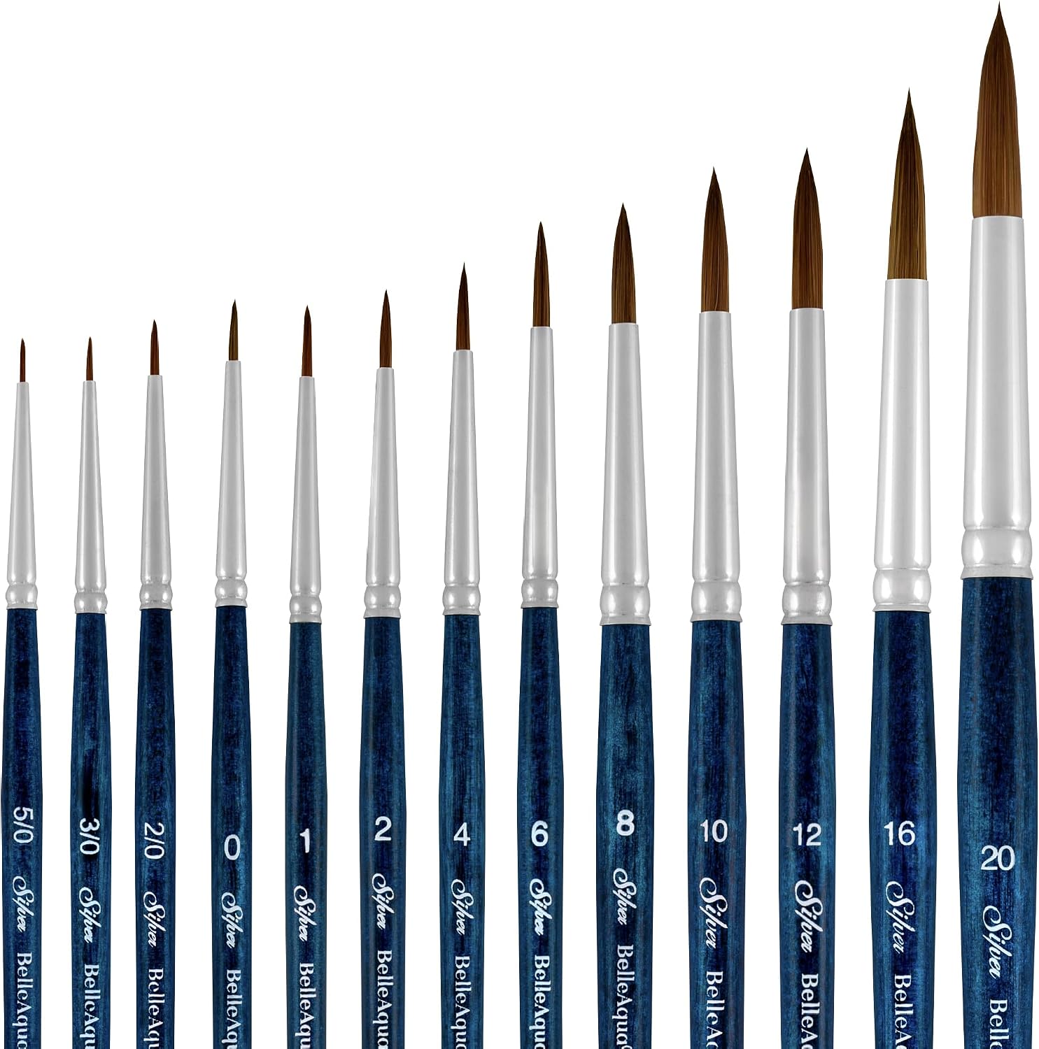 Silver Brush Limited BelleAqua Wet and Wild Watercolor Brush Set, 13pc