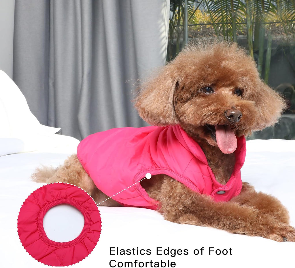 JoyDaog Fleece Lined Dog Jacket for Small Dogs,Winter Dog Coat,Pink M