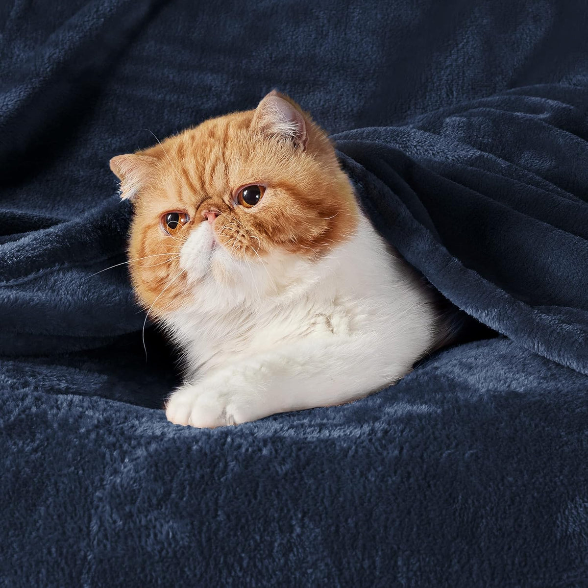 Bedsure Soft Cozy Warm Fleece Throw Blanket for Couch 300GSM Navy 50"x60"