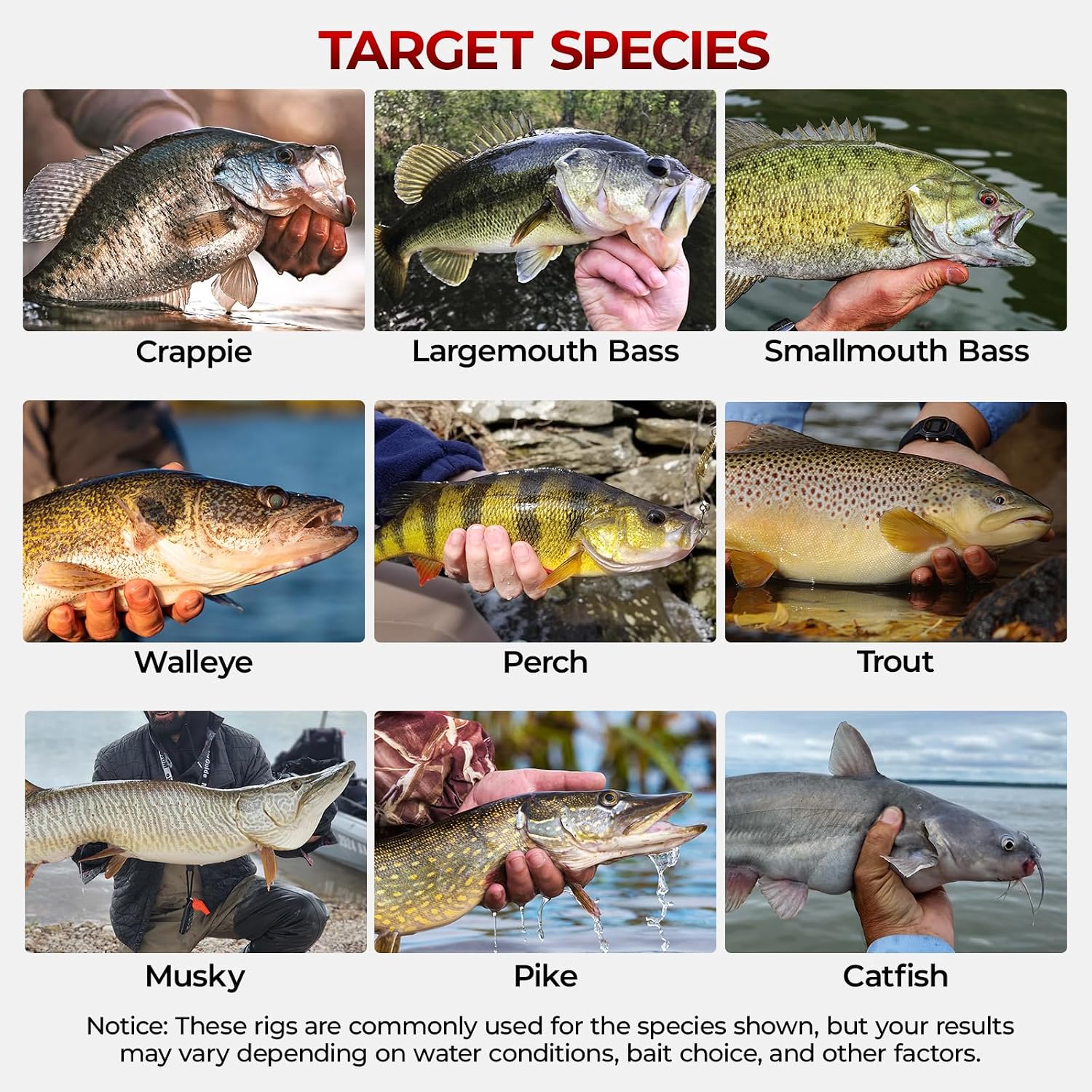 MadBite by KastKing Compact Fishing Tackle Kit for Bass Trout Panfish