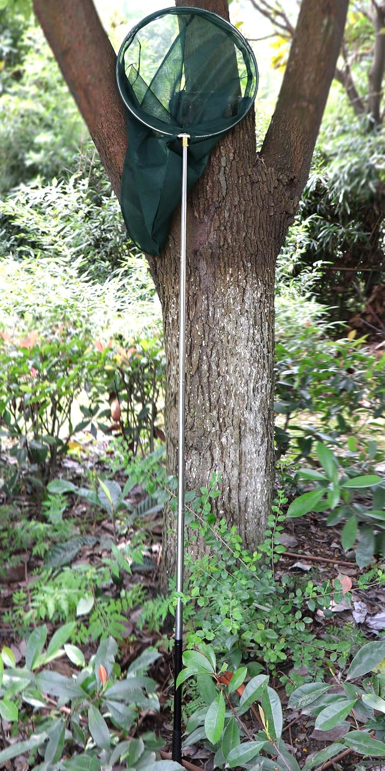 Professional Insect and Butterfly Net with 14" Ring, 26" Net Depth, 59" Telescopic Handle Full Extends to 73" Stainless Lockable