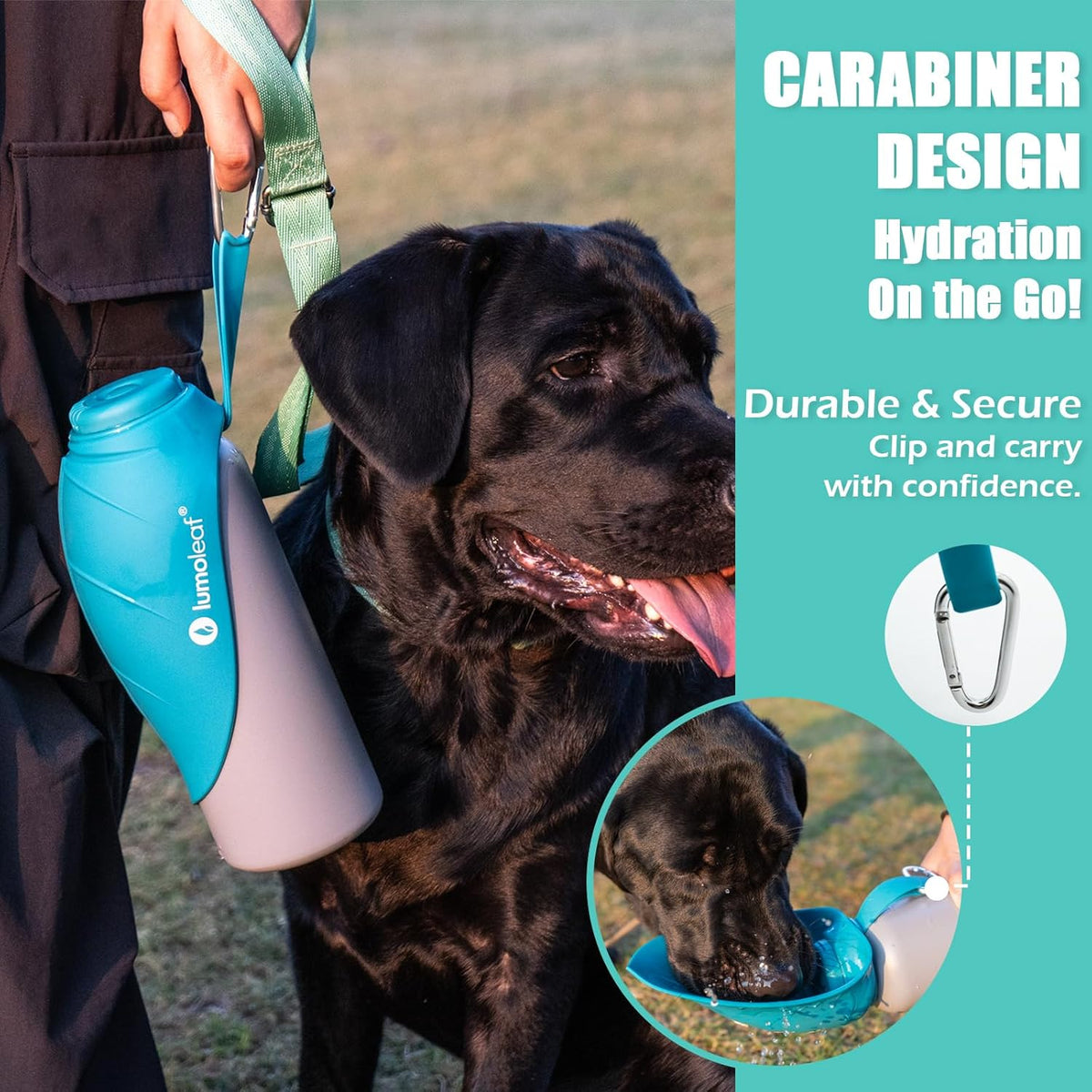 LumoLeaf Insulated Dog Water Bottle 27 oz Stainless Steel - Keep Water Cool or Warm, Portable Pet Water Bowl for Travel, Wide Mouth for Easy Ice Filling & Cleaning