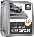 RAINDEWAY 30x50 Feet Tarps Heavy Duty Waterproof,10Mil Multipurpose Tarp