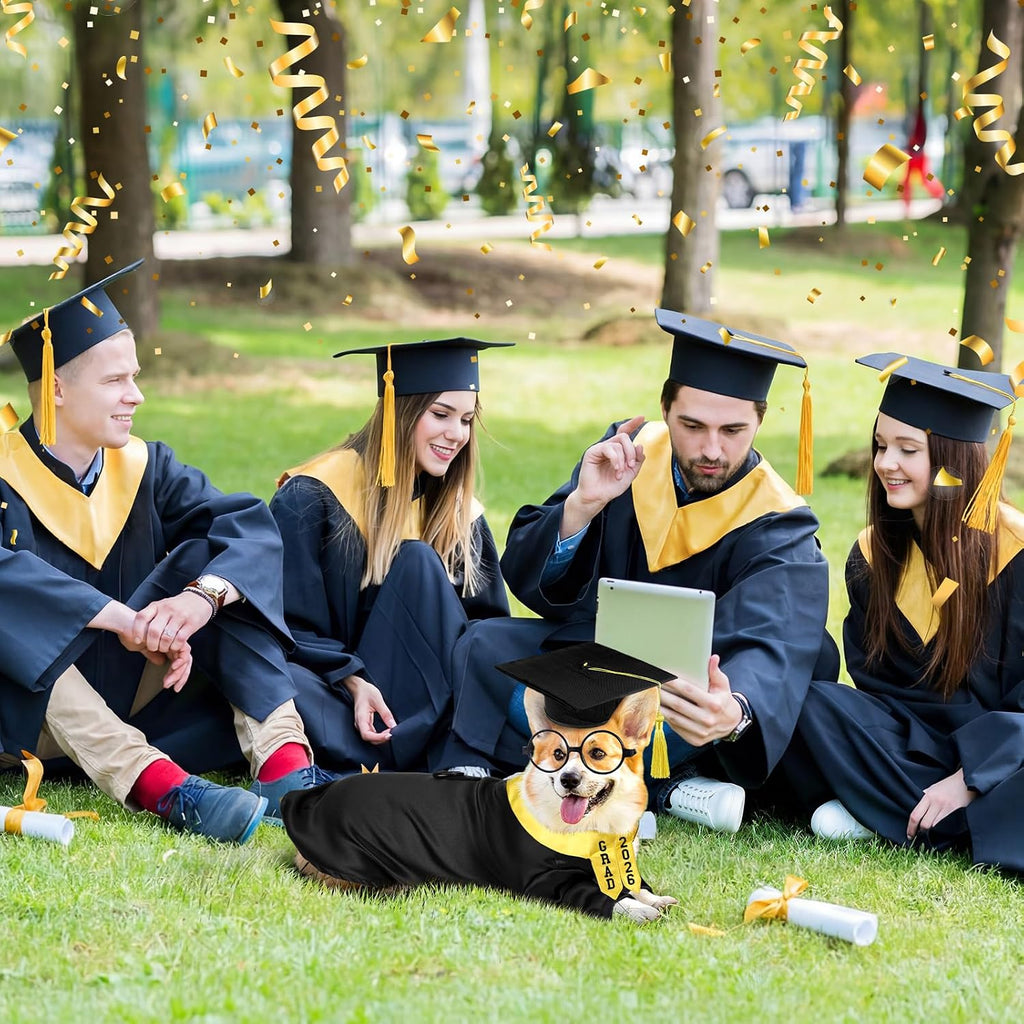 Huhumy 5 Pcs Dog Graduation Costume Set Include 2026 Pet Graduation Gown with Stole Puppy Grad Cap Lensless Glasses DIY Letter Stickers for Dogs Cats Holiday Costume Accessory(Black Yellow,S)