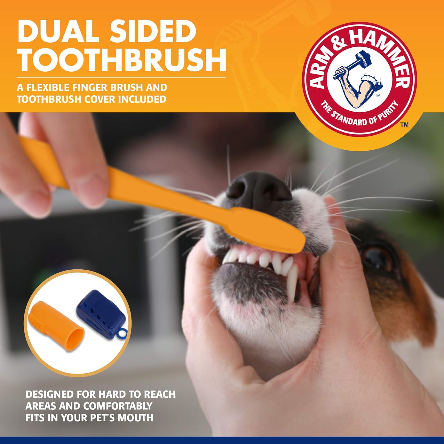 Arm & Hammer Tartar Control Dog Dental Kit, Banana Mint, 3-Piece