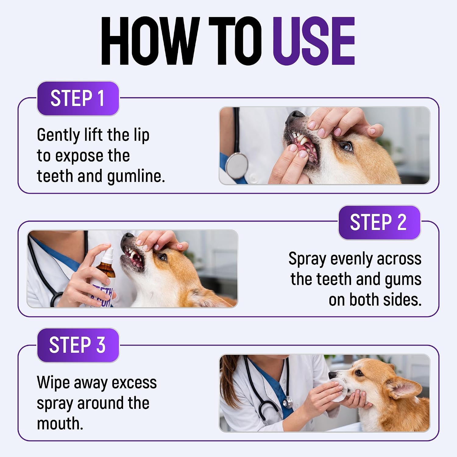 SILVER GRADE Teeth & Gum Cat & Dog Breath Freshener Spray – No Brushing Dog Dental Care Helps with Tartar & Caries – Pet Plaque Remover with Silver 25 PPM – Gentle Formula for Healthy Gums – 4 oz
