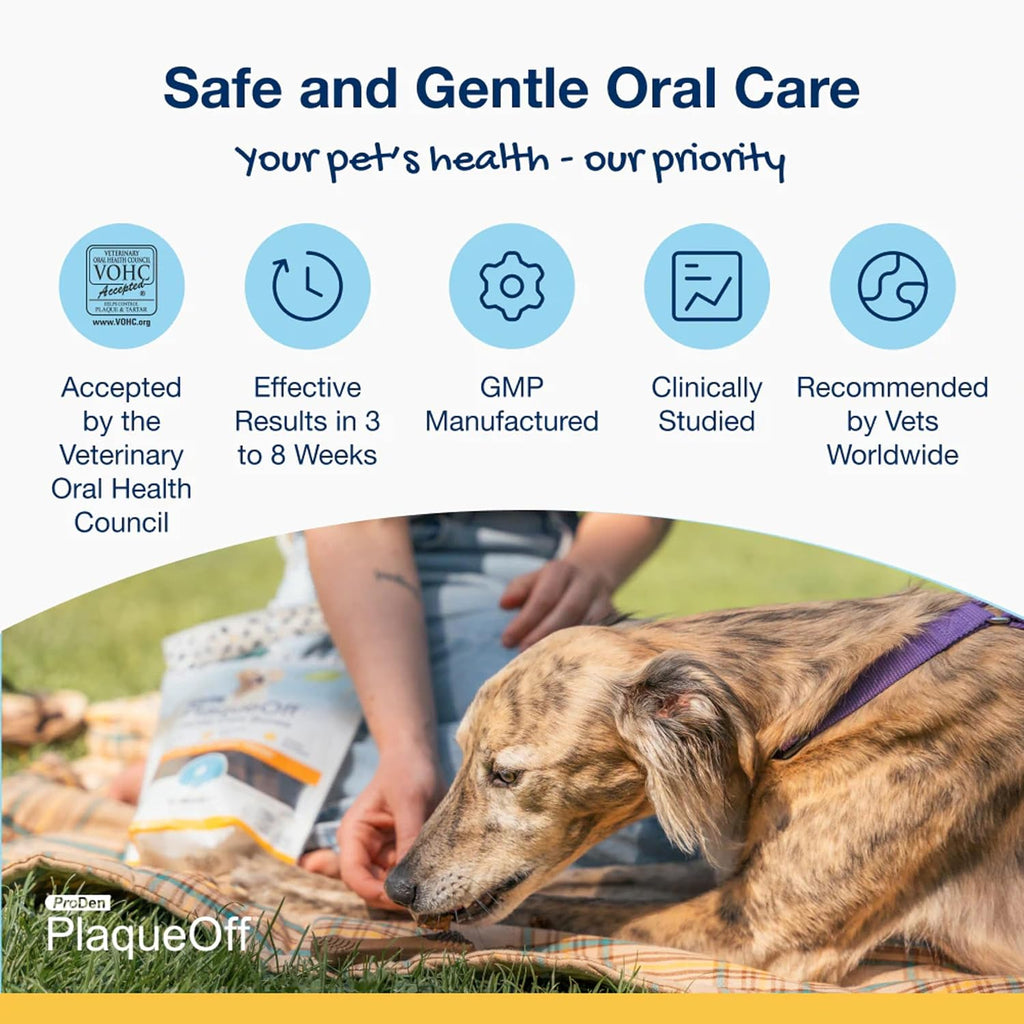 ProDen Mini Dental Bones for Dogs - Peanut Butter & Banana - 12oz