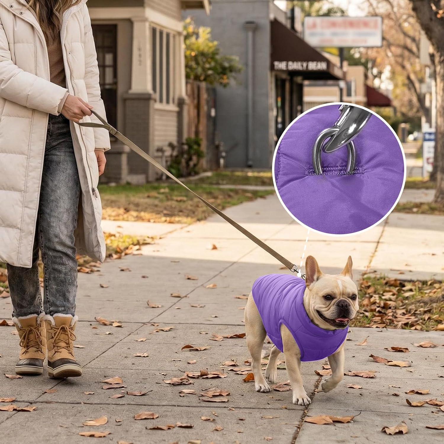 JoyDaog Fleece Lined Dog Jacket for Small Dogs,Winter Dog Coat,Purple M