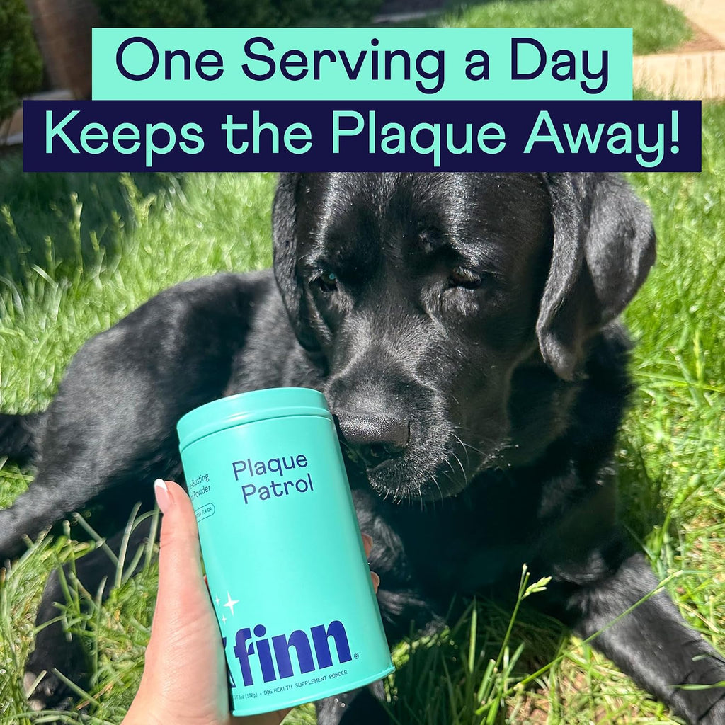 Finn Dental Powder for Dogs - Targets Plaque, Tartar & Bad Breath