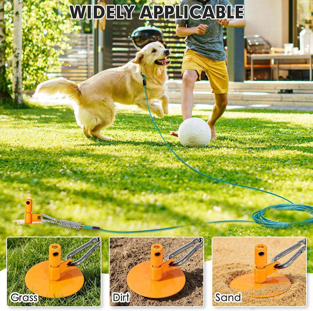 Dog Tie Out Stake with Lock-Cap,Heavy Duty Dog Stake for Outside