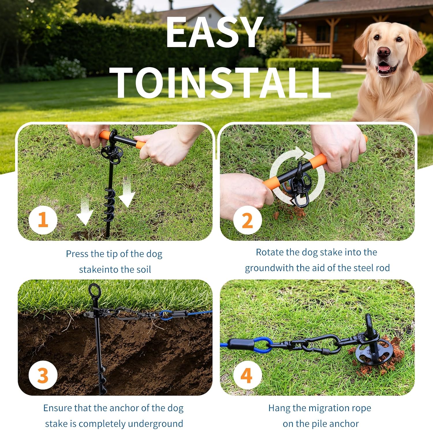 The Dog Outdoor Towing Set