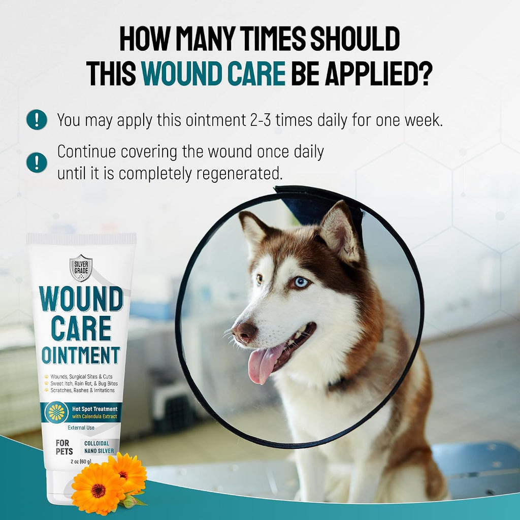 SILVER GRADE Dog Wound Care Ointment with Silver & Calendula for Scratches, Irritations, Bites – Feline & Canine Hot Spots Treatment in a Gel Form – Wound Antibiotic Ointment for Dogs & Cats – 2 Oz