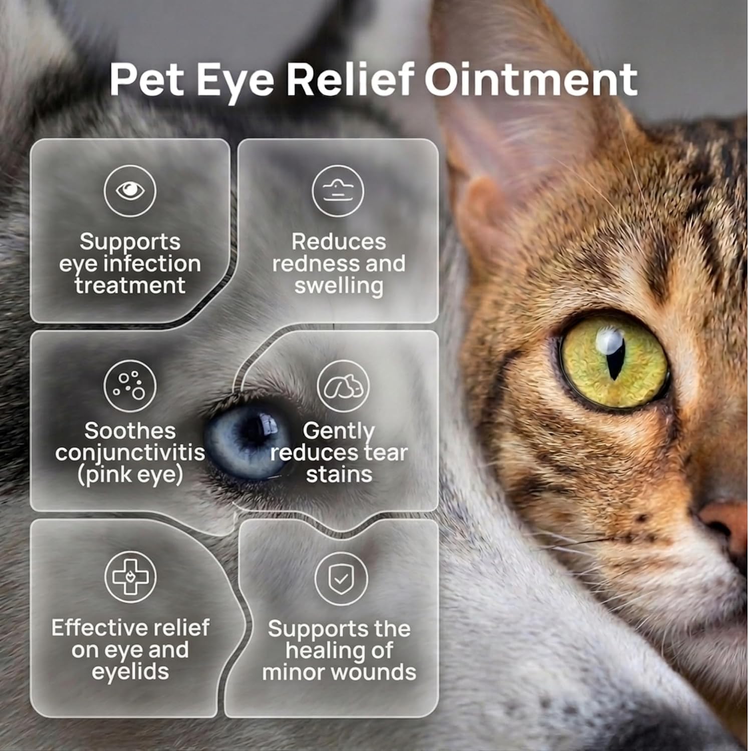 Pet Eye Cream – Vet-Formulated Dog Eye Infection Treatment, Pink Eye Relief, Conjunctivitis Relief, Dry Eyes &amp; Red Eye, Tear Stain Remover for Dogs, Cats, Cattle, Sheep, Horses – 1 Tube
