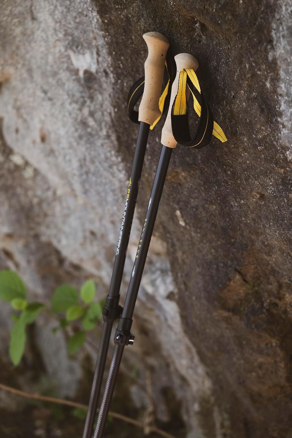 ALPS Mountaineering Alliance Trekking Poles, Set of 2, Black