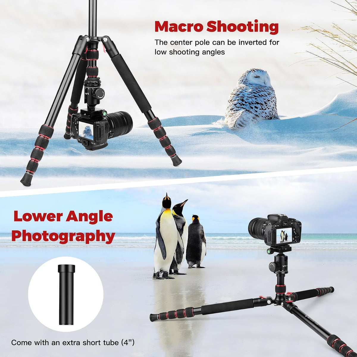 Victiv Camera Tripod, 80" Ball Head Tripod with Carry Bag & Phone Holder