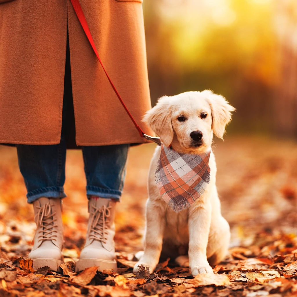 ADOGGYGO Fall Dog Bandana with Tassels Edges, Plaid Thanksgiving Scarf, S