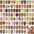 Huhumy 100 Pcs Fall Dog Bandanas Bulk Plaid Bandanas for Fall Dog Costume