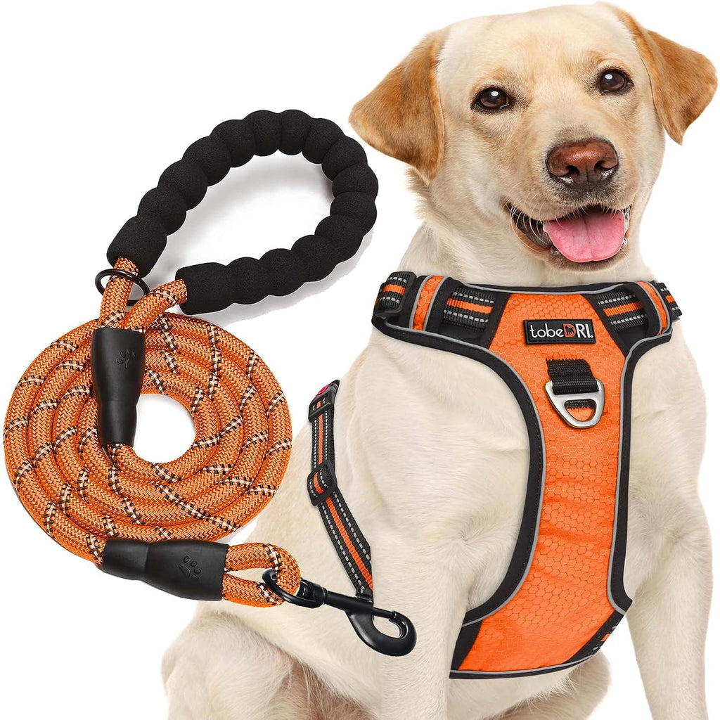 tobeDRI No Pull Dog Harness Adjustable Reflective Oxford Easy Control Medium Large Dog Harness with A Free Heavy Duty 5ft Dog Leash, Blue, L