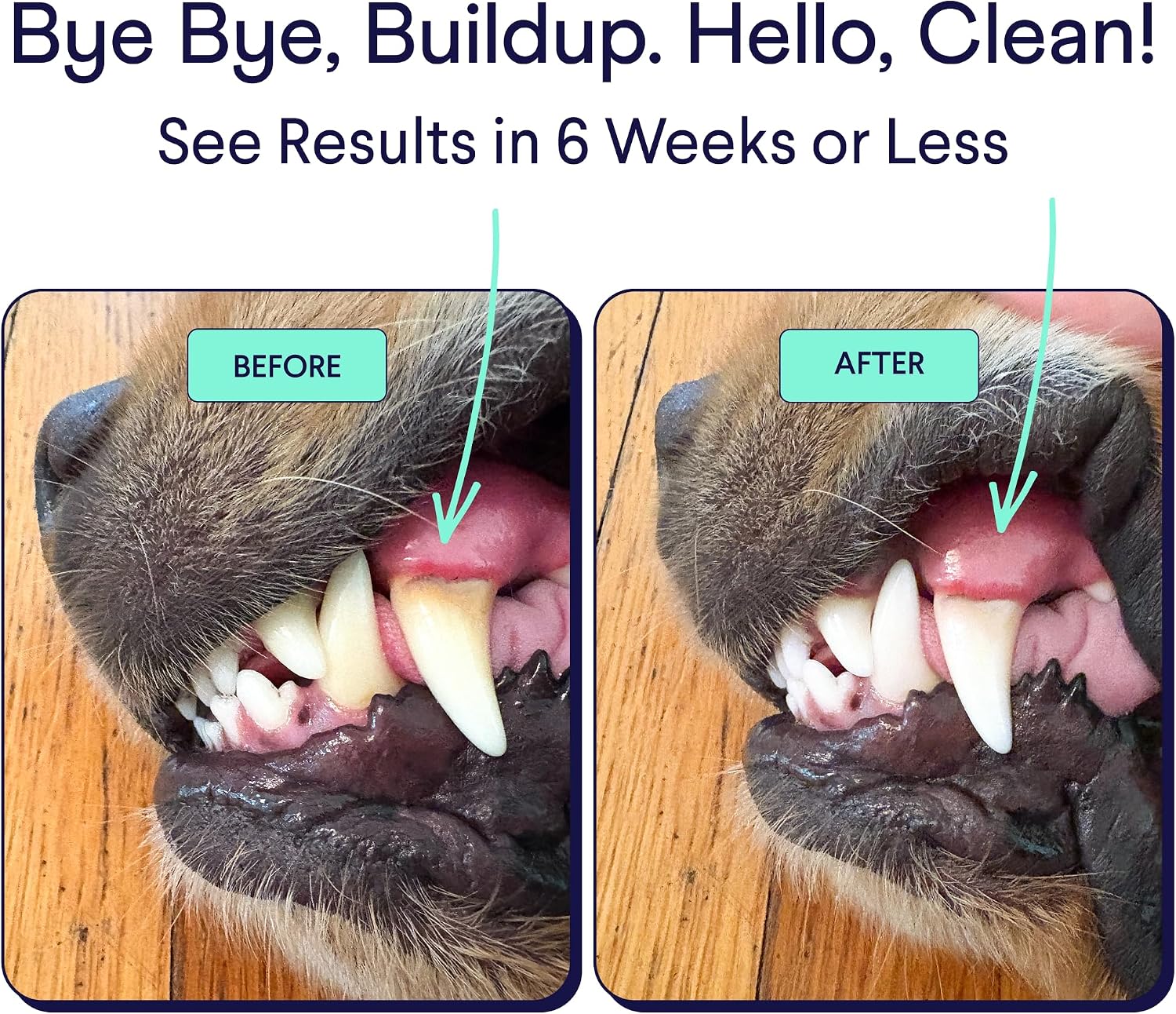 Finn Dental Powder for Dogs - Targets Plaque, Tartar & Bad Breath