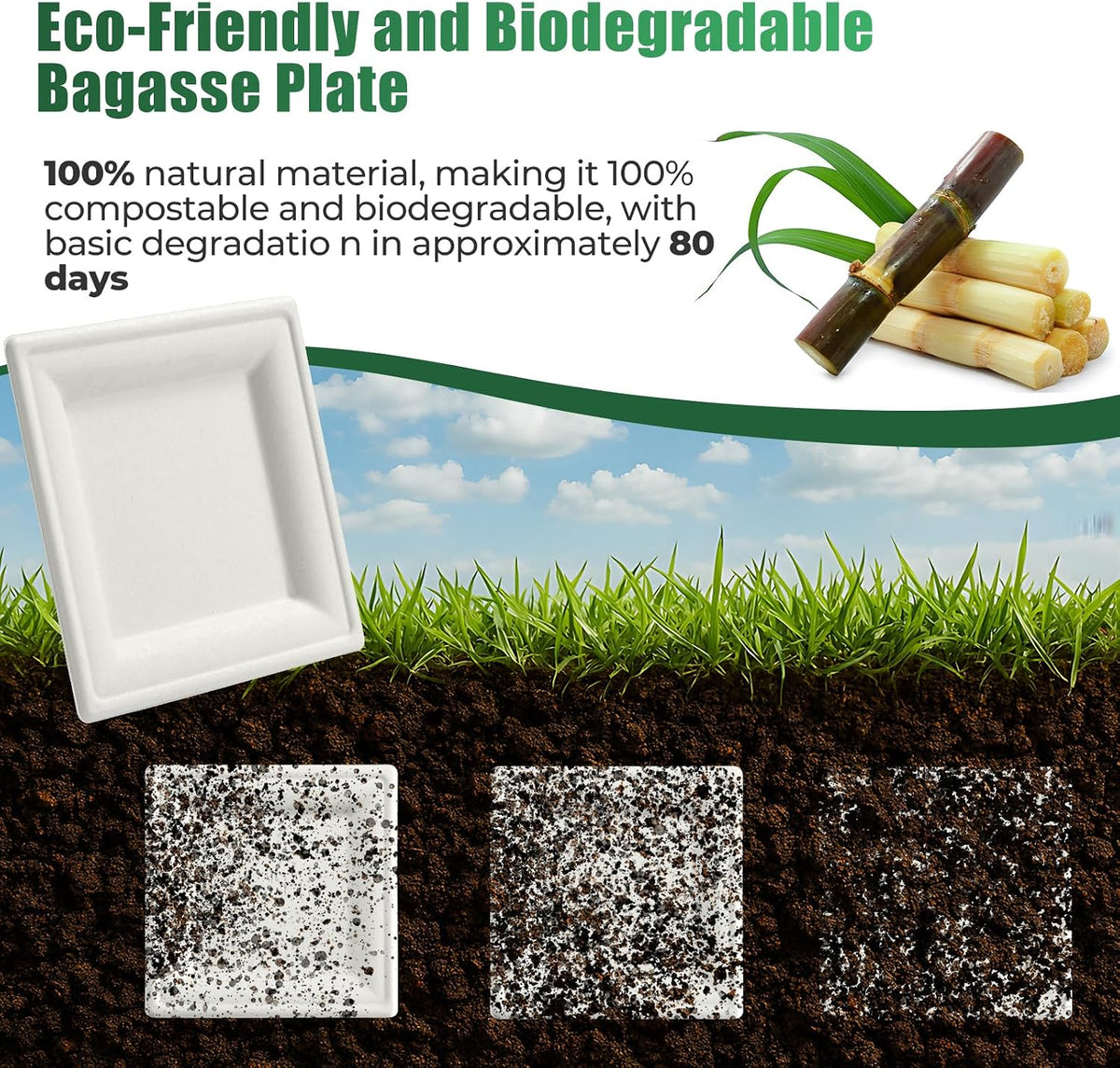 300 Pcs Biodegradable Paper Plates Set Disposable Dinnerware
