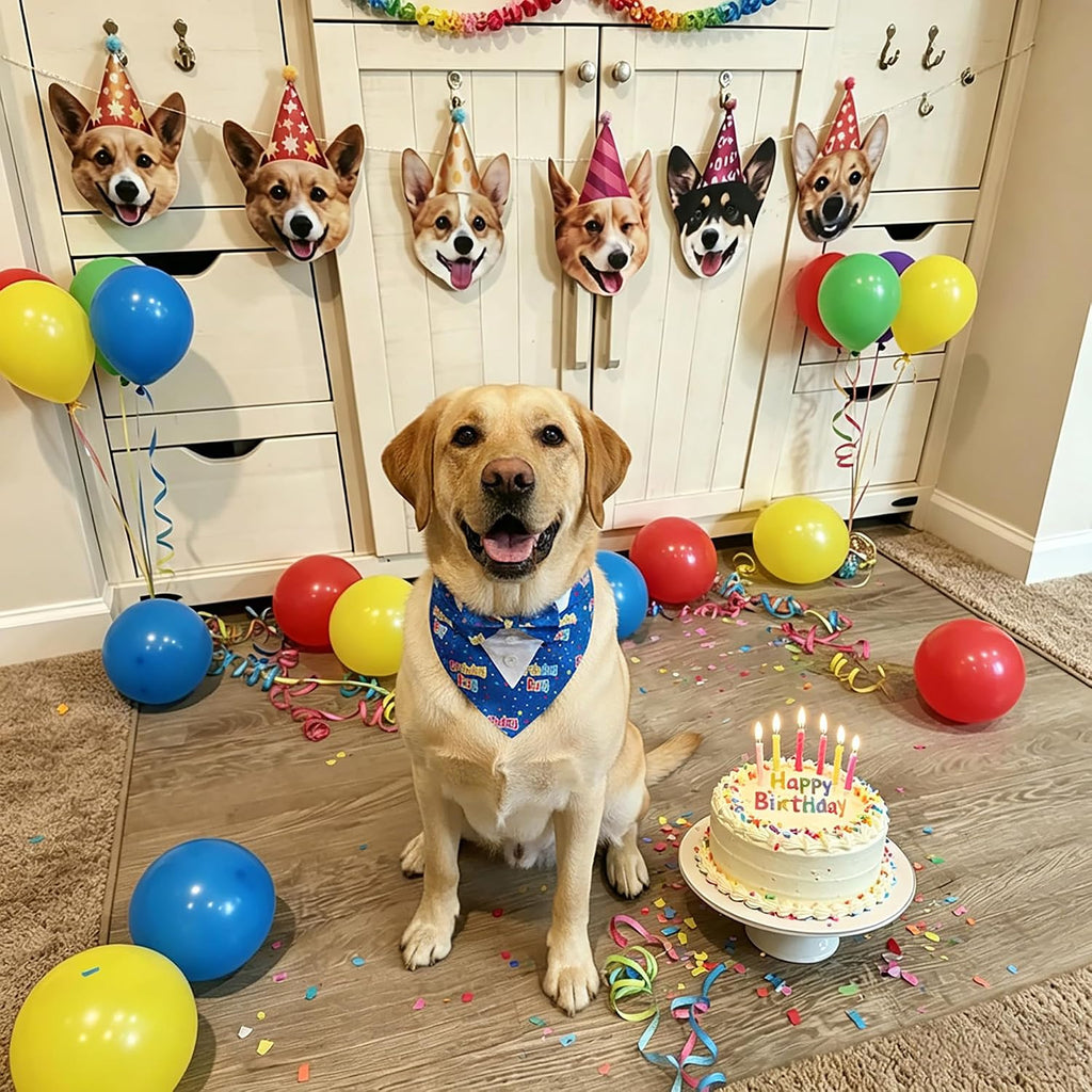 ADOGGYGO Birthday Dog Bandana with Bowtie, Blue Boy Dog Tuxedo, Large