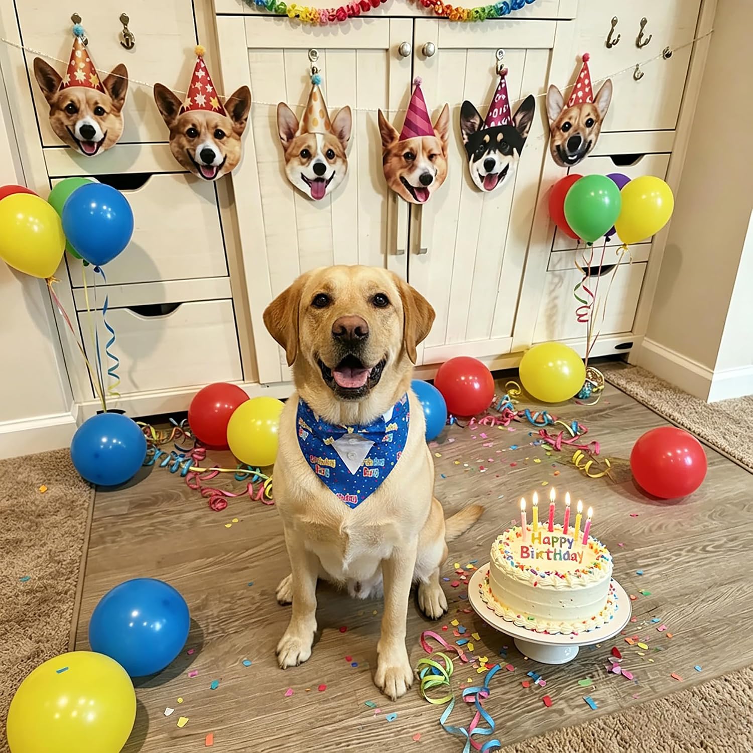 ADOGGYGO Birthday Dog Bandana with Bowtie, Blue Boy Dog Tuxedo, Large