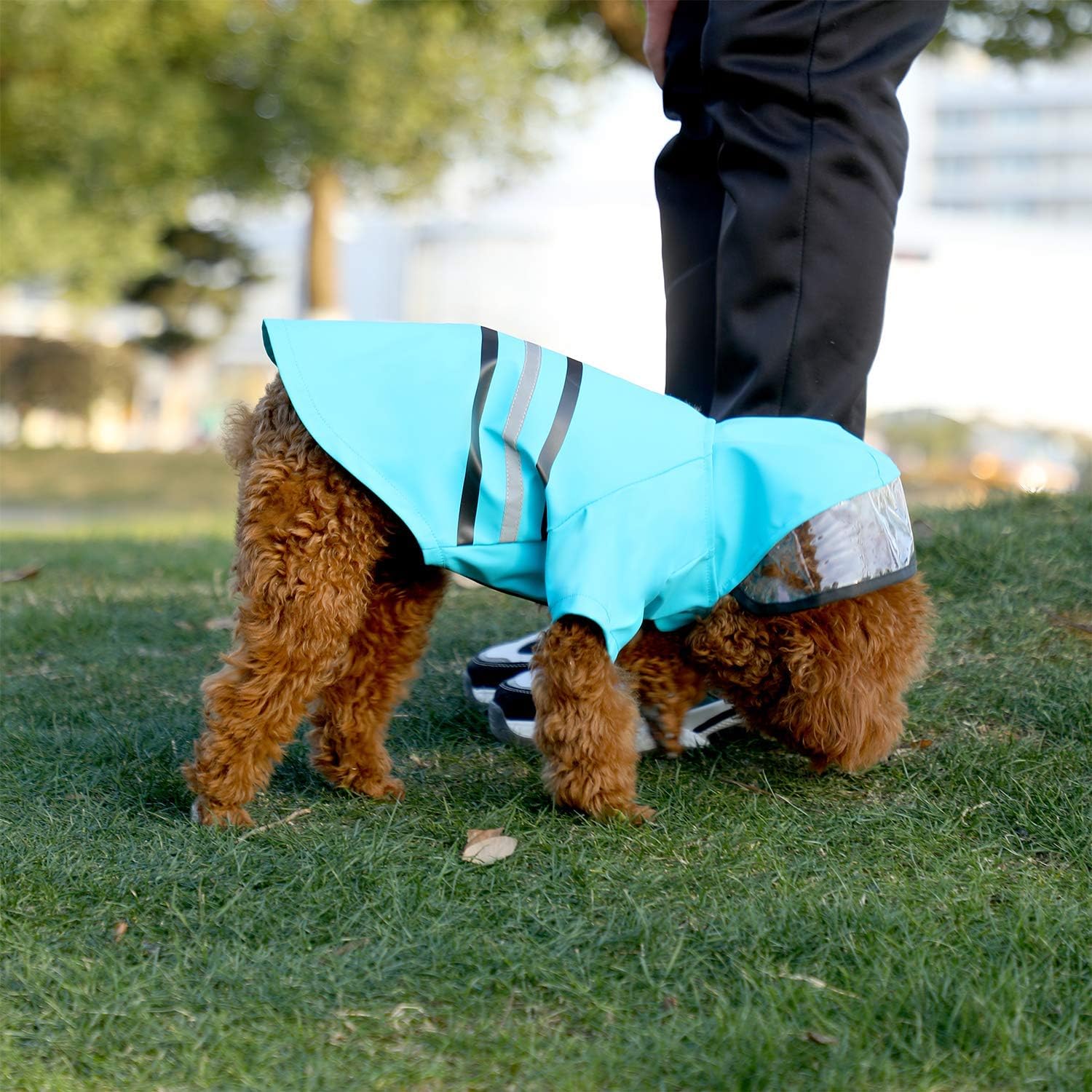 Wizland Reflective Dog Raincoat Dog Rain Jacket with Hood Lightweight Waterproof Rain Coat for Puppies (Blue XS)