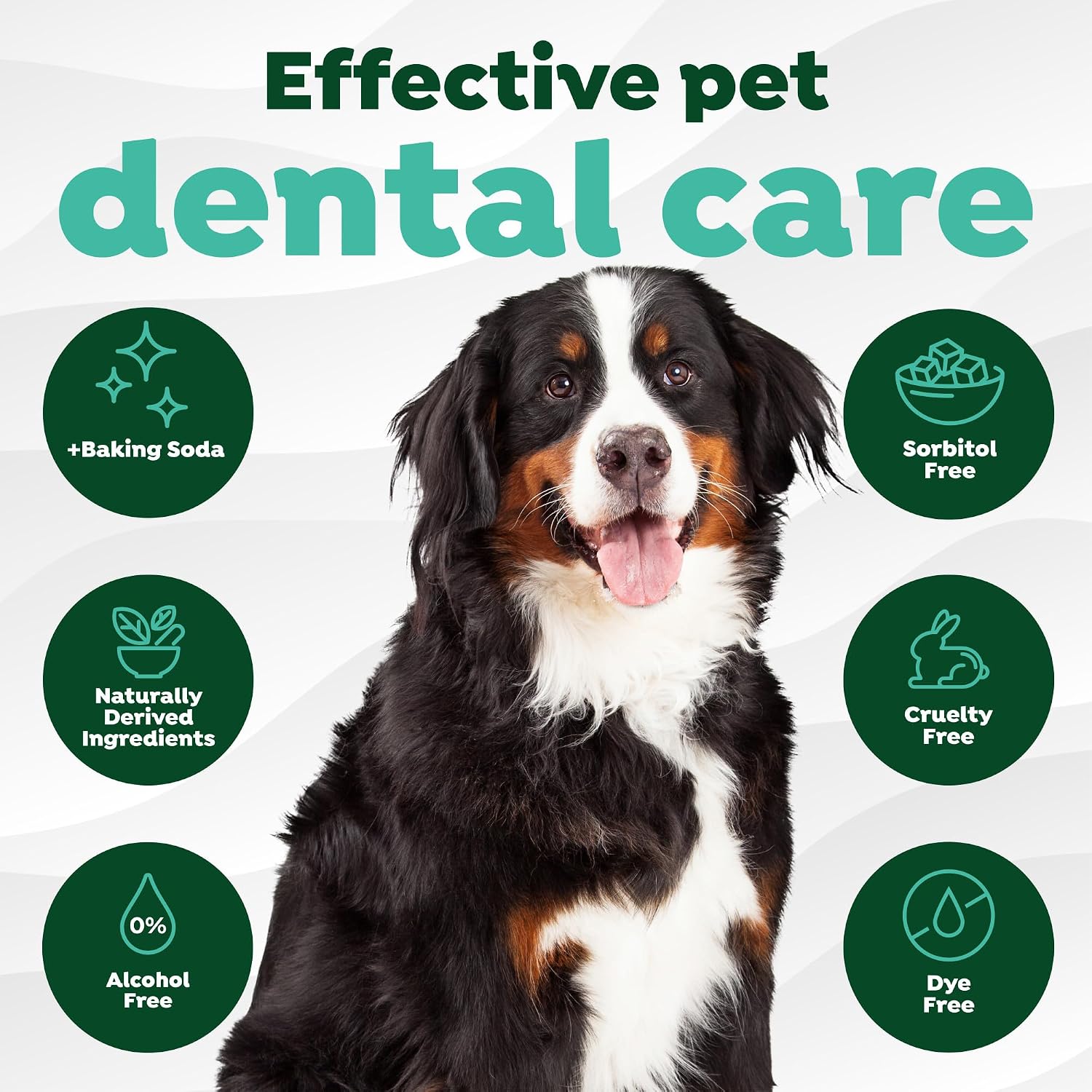 TropiClean Fresh Breath Dog Teeth Cleaning Dental Wipes, 50ct