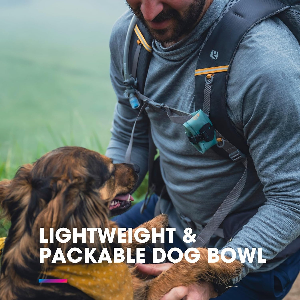 HydraPak Rover Dog Bowl Collapsible & Portable Bowl (17oz)