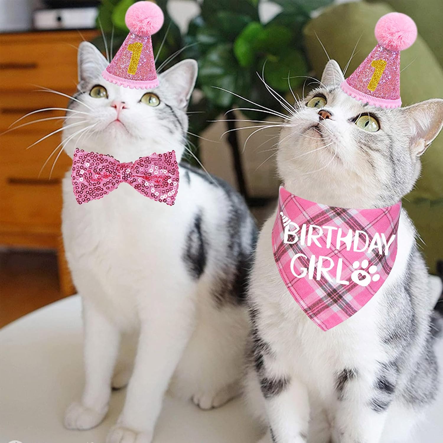 STMK Cat Birthday Party Supplies, Cat Birthday Hat with Number Cat Birthday Bandana Girl Bow Tie Collar for Cats Kittens Birthday Decorations