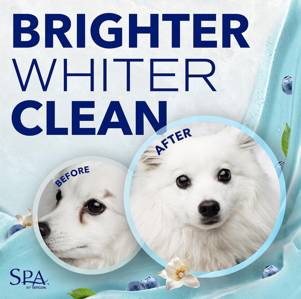 TropiClean SPA Tear Stain Remover for Dogs, Blueberry Facial Shampoo, 8oz