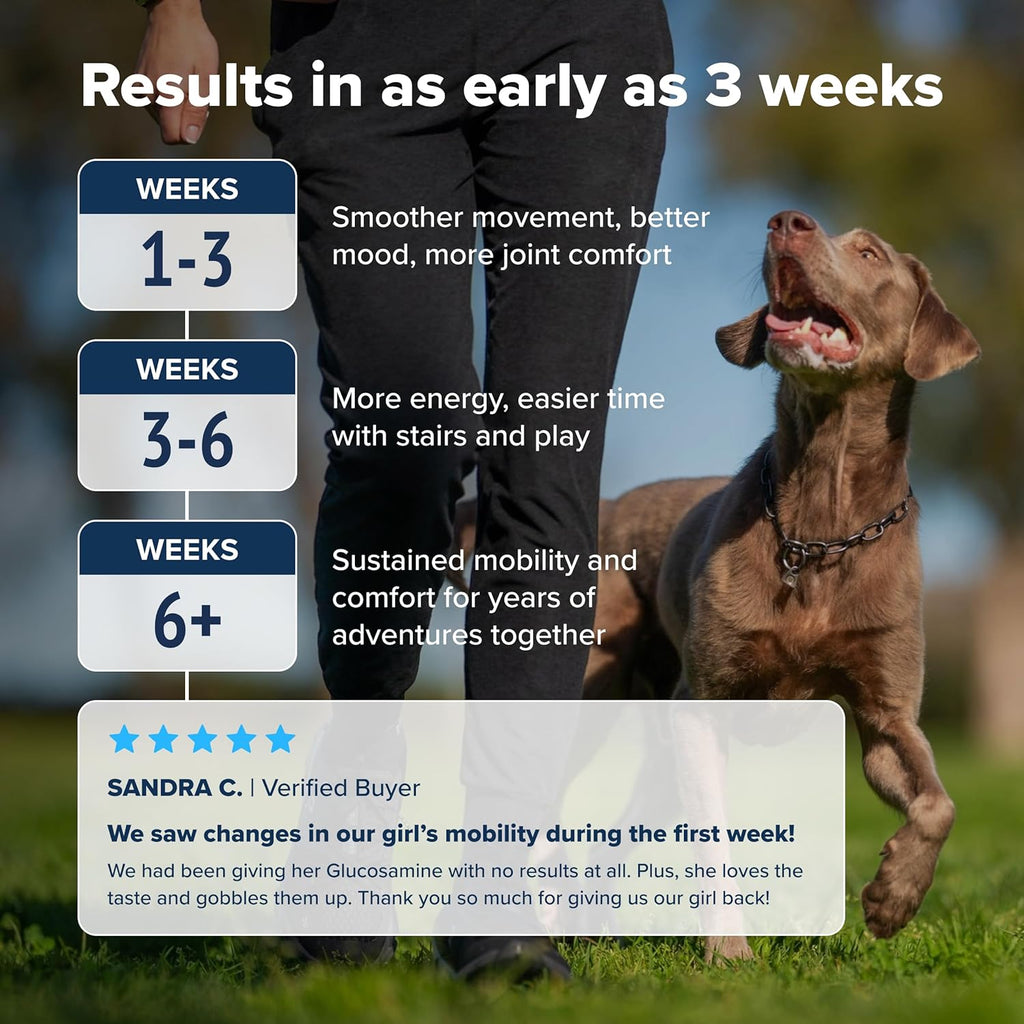 PupFlex+ Hip and Joint Supplement Dogs, Vet Created Soft Chews w/UC-II® Collagen, CurcuVET® & Omega 3 - UC-II Collagen More Effective Than Glucosamine Chondroitin, Dog Joint Supplement (60 ct)