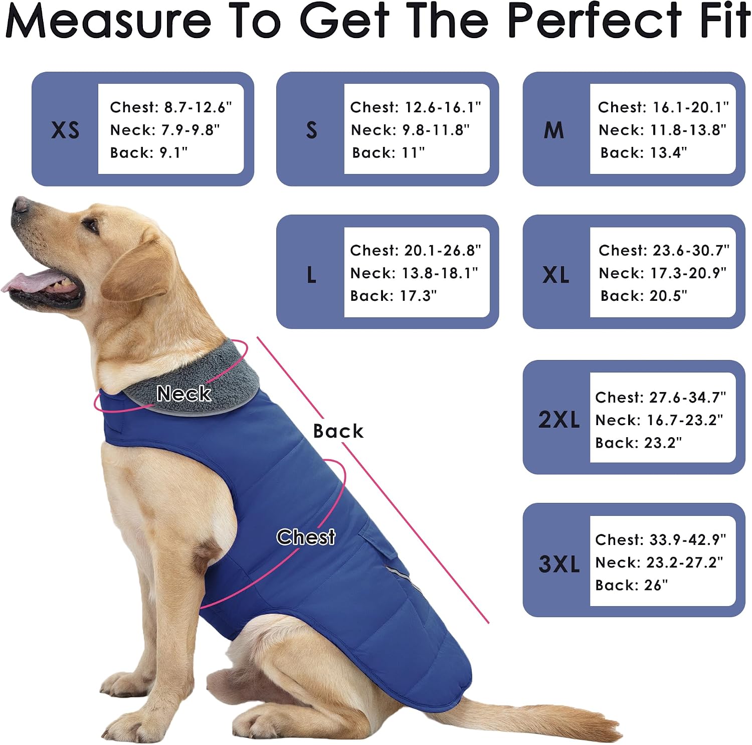 Petglad Dog Coat, Waterproof Dog Winter Jacket with Pocket, Reflective Adjustable Pet Snow Vest, Warm Cozy Fleece Sweater for Small Medium Extra Large Dogs - Blue, S