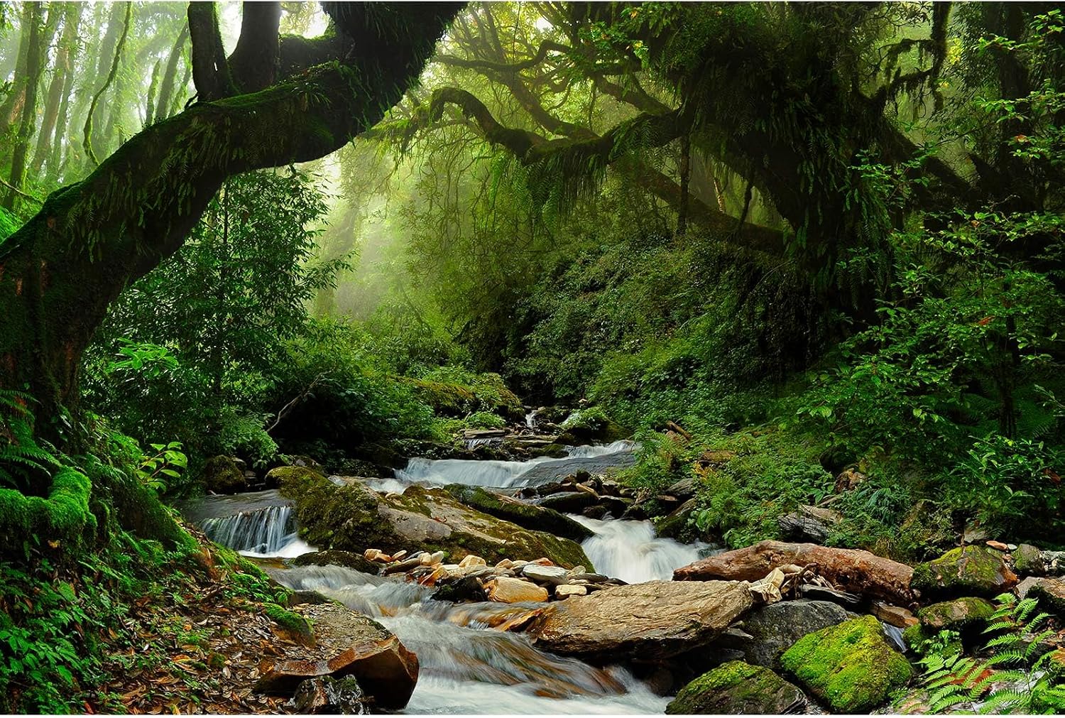 Jungle Forest Backdrop Foggy Rainforest Jungle Landscape Photography Background Stream Lush Green Trees Plants Nature Scene Backdrop for Travel Hiking Portrait Video Shoot Photo Studio Props 7x5ft