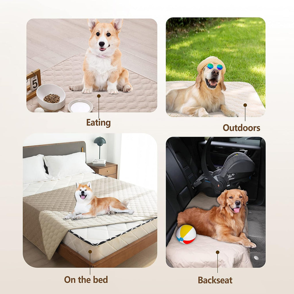 gogobunny Waterproof Dog Blanket, Couch Covers for Sofa, Reusable Pee Pads