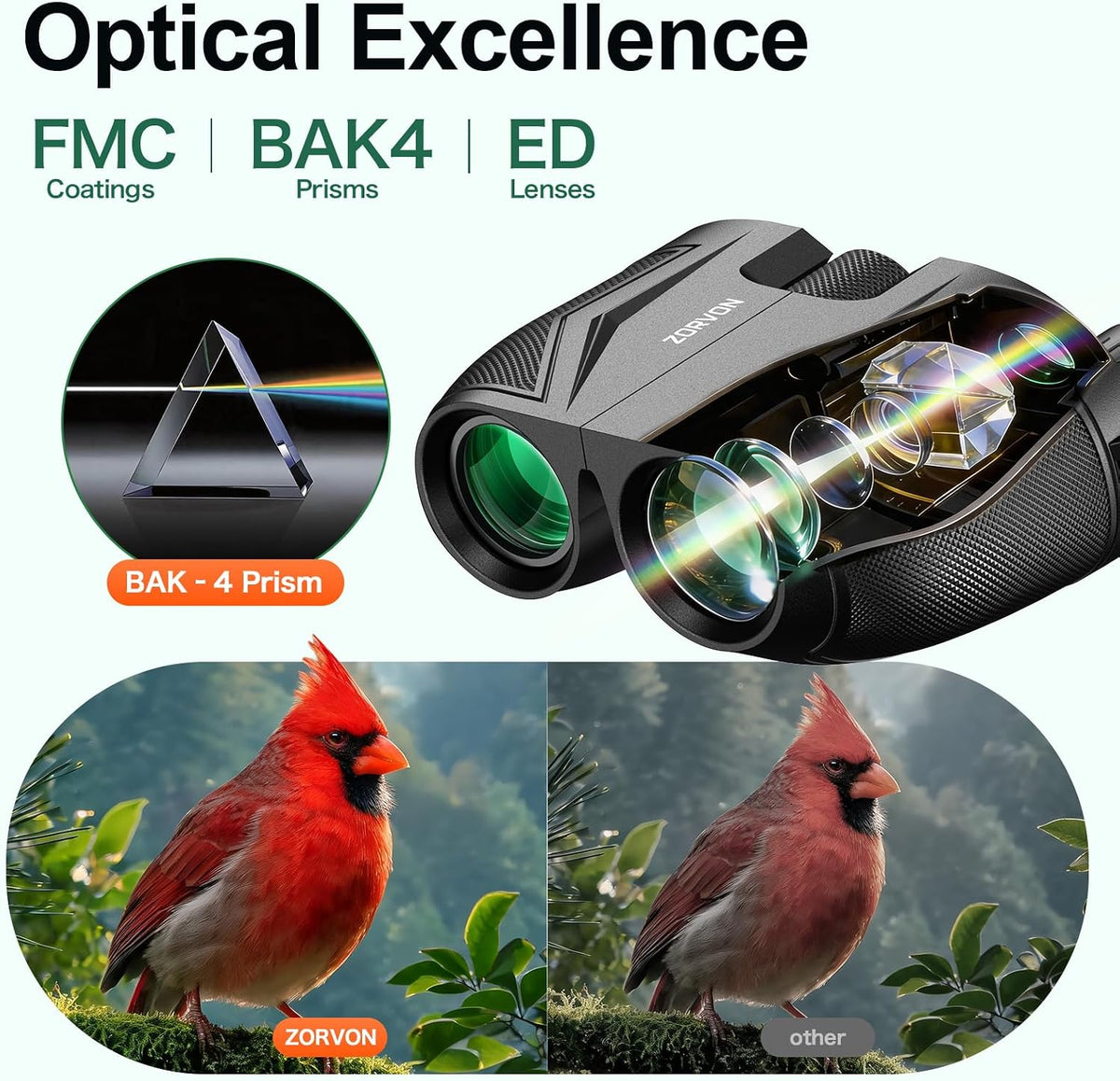 10x25 Compact Binoculars for Adults, Lightweight HD Small Binoculars