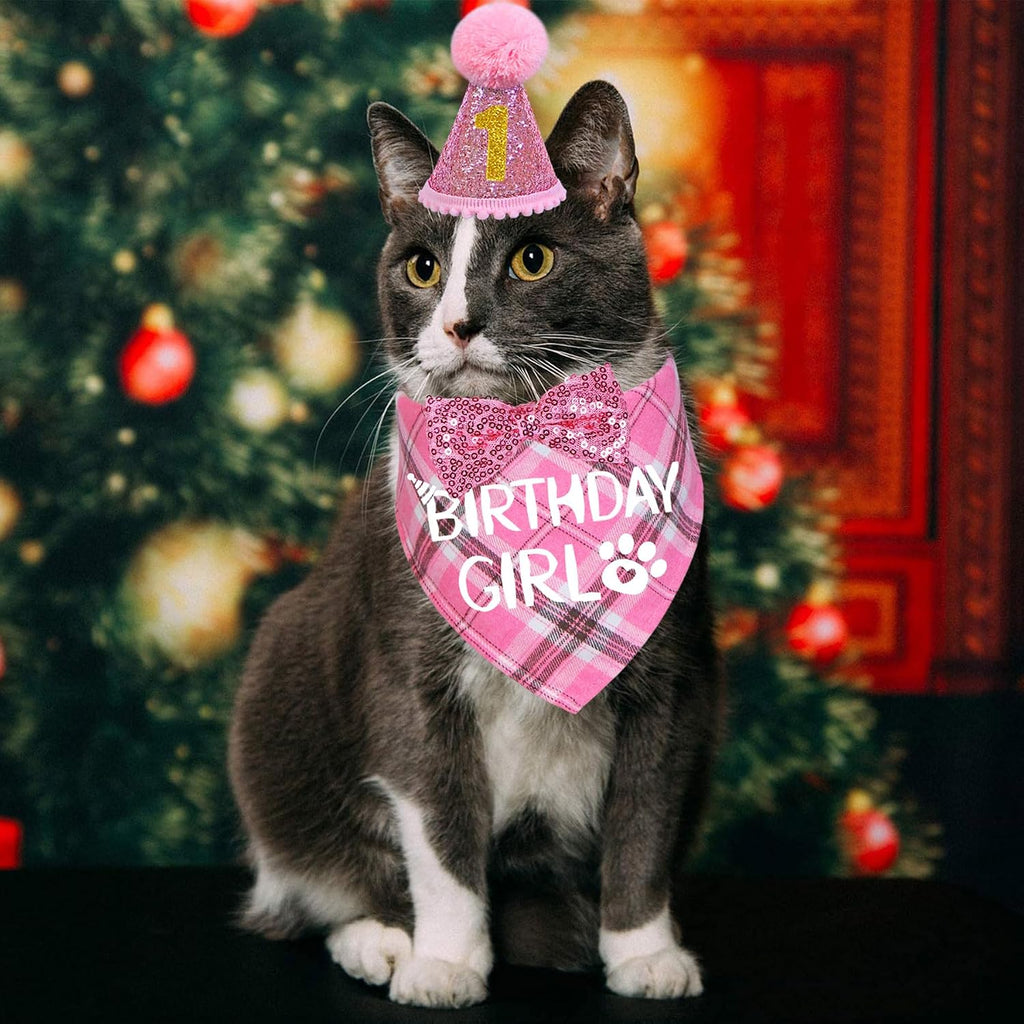STMK Cat Birthday Party Supplies, Cat Birthday Hat with Number Cat Birthday Bandana Girl Bow Tie Collar for Cats Kittens Birthday Decorations