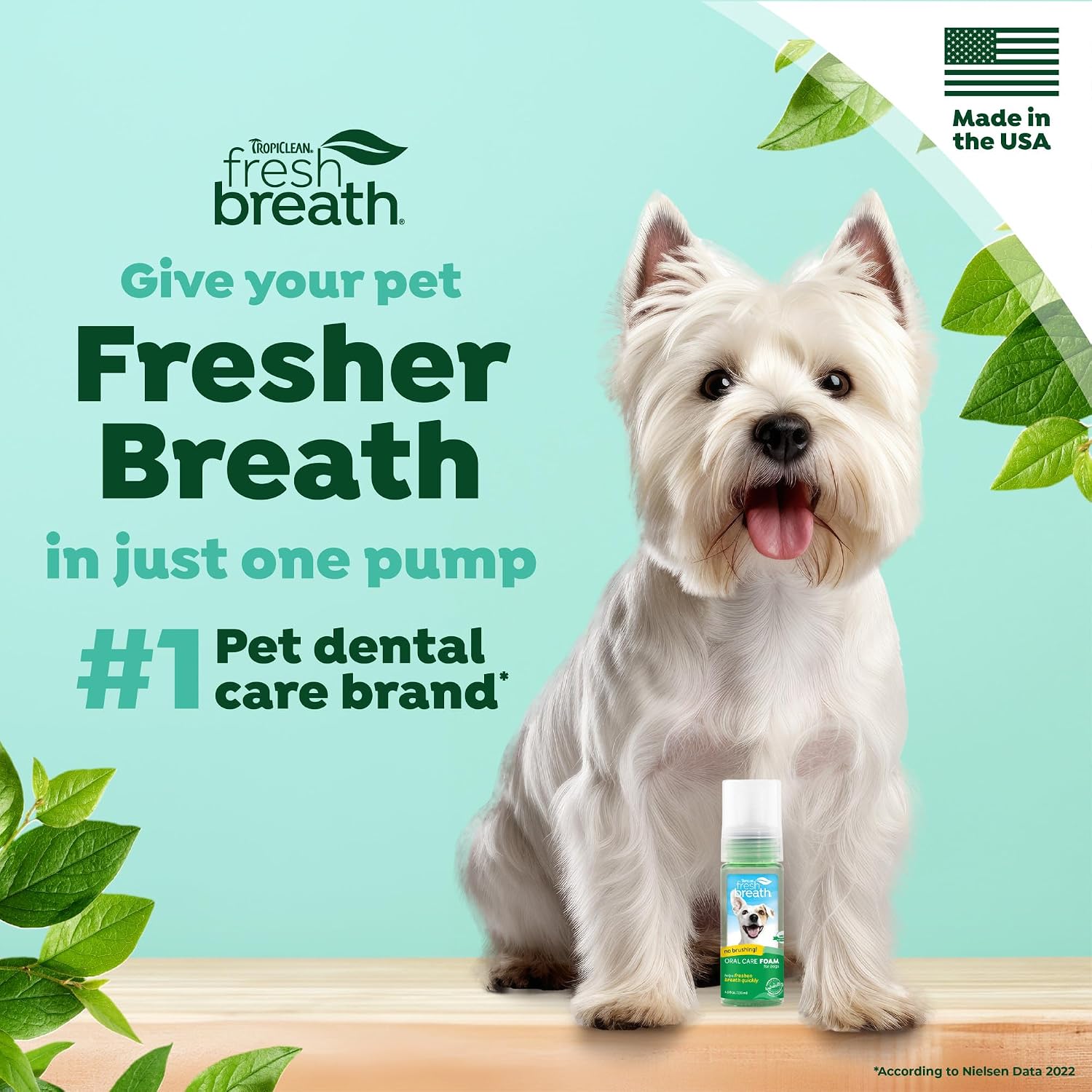 TropiClean Fresh Breath Dental Foam Spray for Dogs &amp; Cats | Quick Breath Freshener and Teeth Cleaning Solution | Made in The USA | 4.5oz.