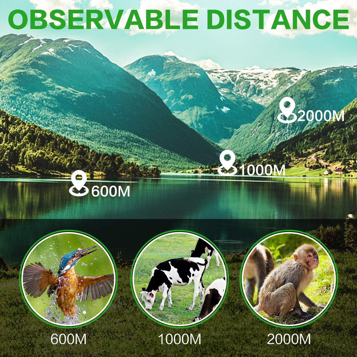 40X60 Monocular Telescope, High Power Monocular for Adults with Phone Adapter& Tripod& Hand Strap, Low Night Vision Monocular, Equipped with BAK4 Prism for Bird Watching and Traveling Concert