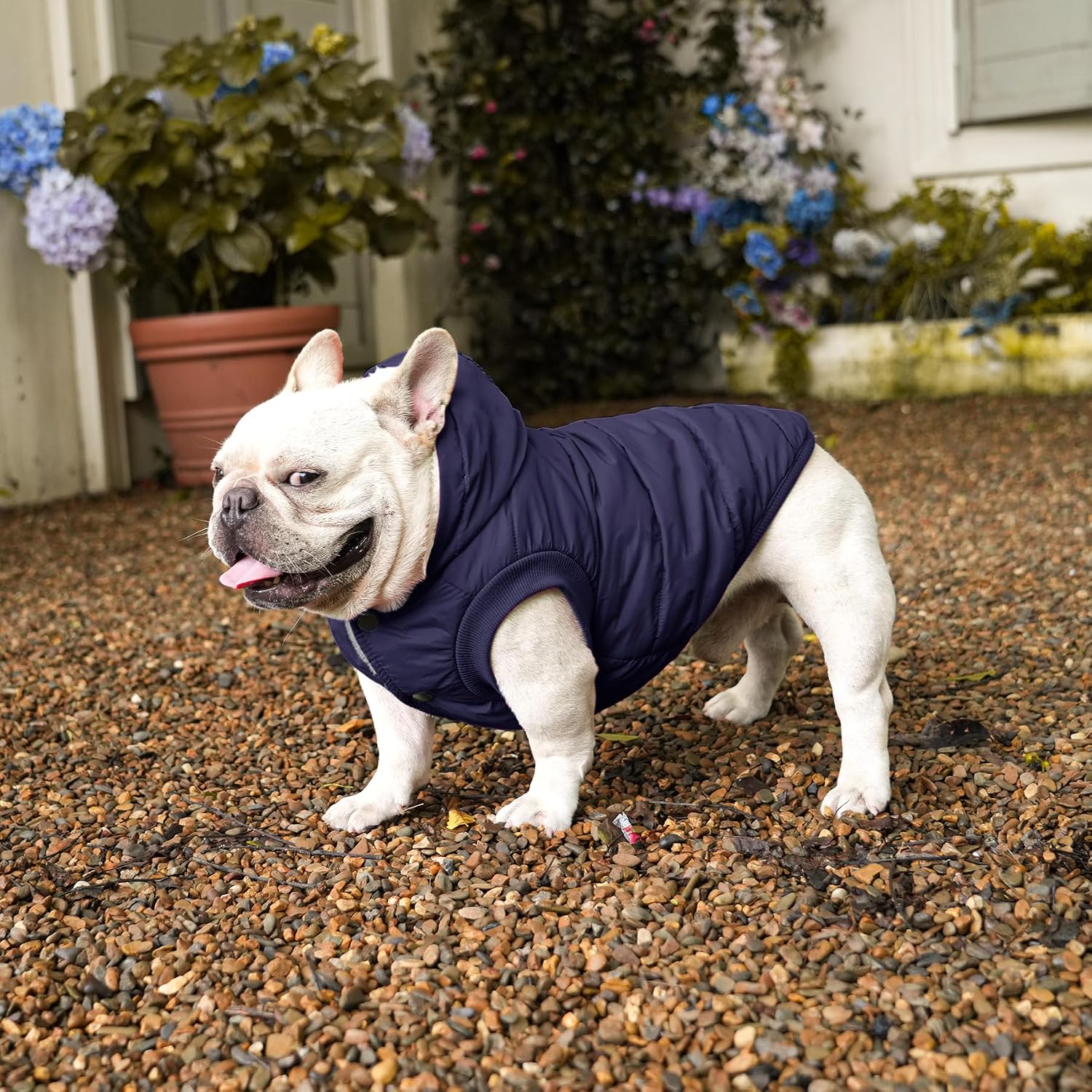 Vecomfy Warm Dog Coats with Hoodie,Winter Dog Jackets for Large Dogs