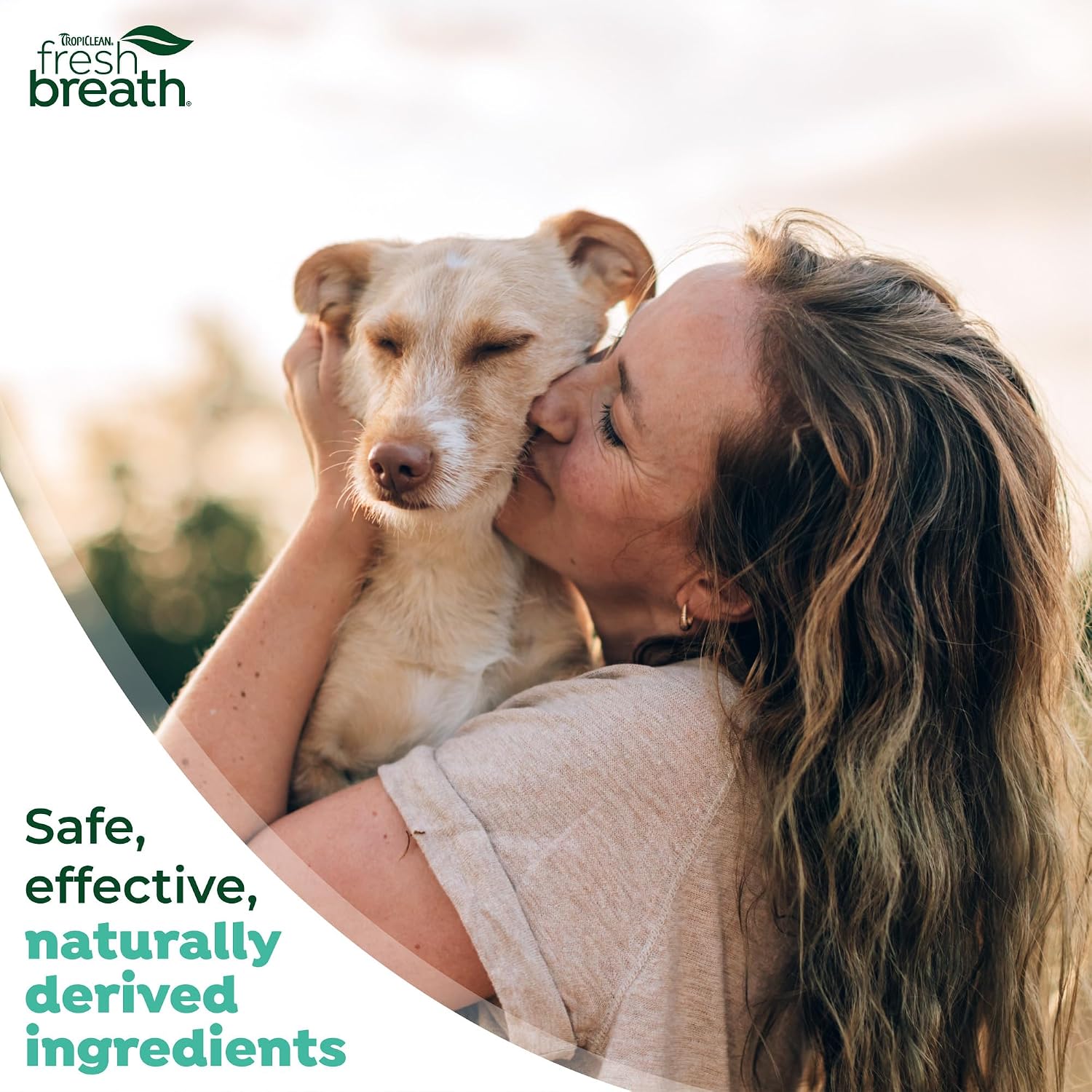 TropiClean Fresh Breath Dog Teeth Cleaning Dental Wipes, 50ct