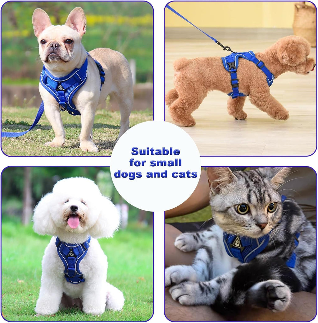 SOLMOONY Small Dog Harness,Soft Mesh Puppy Harness and Leash Set,No Escape Cat Harnesses for Training Walking,Reflective Adjustable Puppy Vest for Small Medium Dogs, Cats (Navy Blue, L)